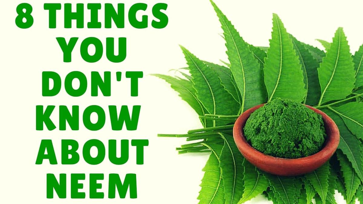 'Video thumbnail for 8 Amazing facts and uses of neem | You probably don't know no 6'