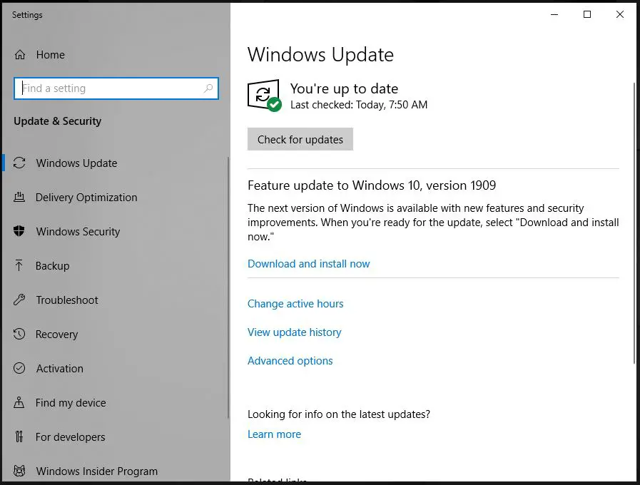 Checking for windows 10 november 2019 update