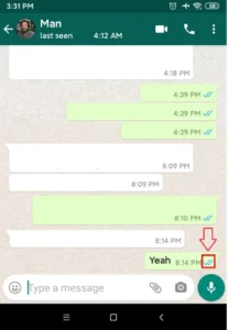 Confirm it has two blue tick marks | How To Know If Someone Has Read Your Messages On WhatsApp