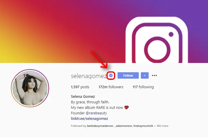 How To Verify Your Account On Instagram