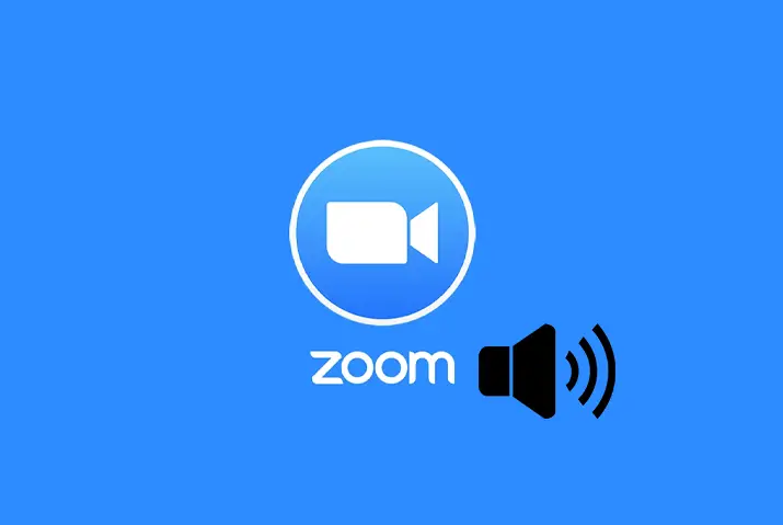 how to lower zoom volume only