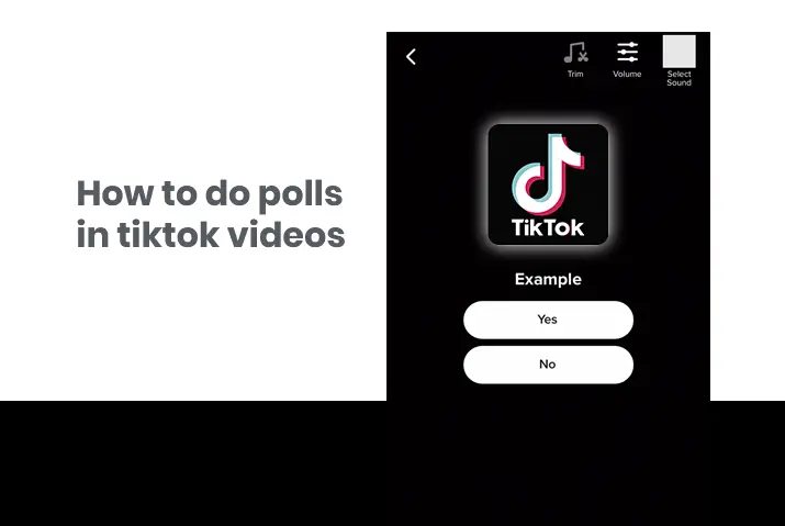 How to do polls in tiktok videos