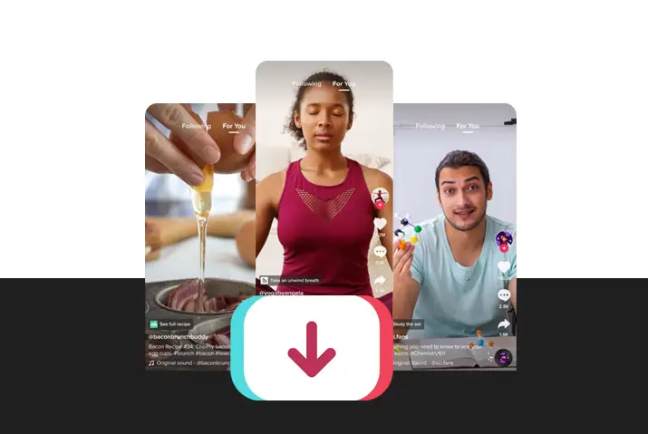 how to download all videos from tiktok in one click