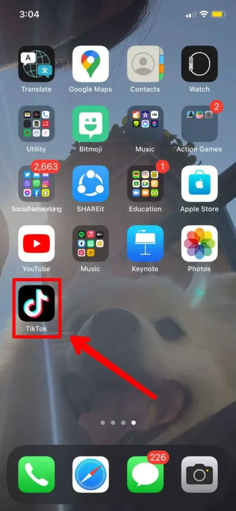Launch tiktok in your device