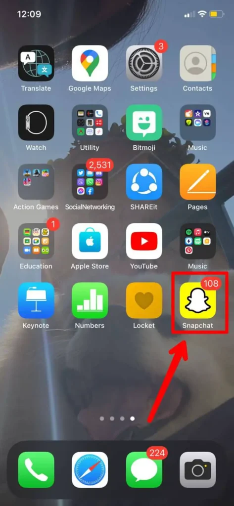 Open the Snapchat app