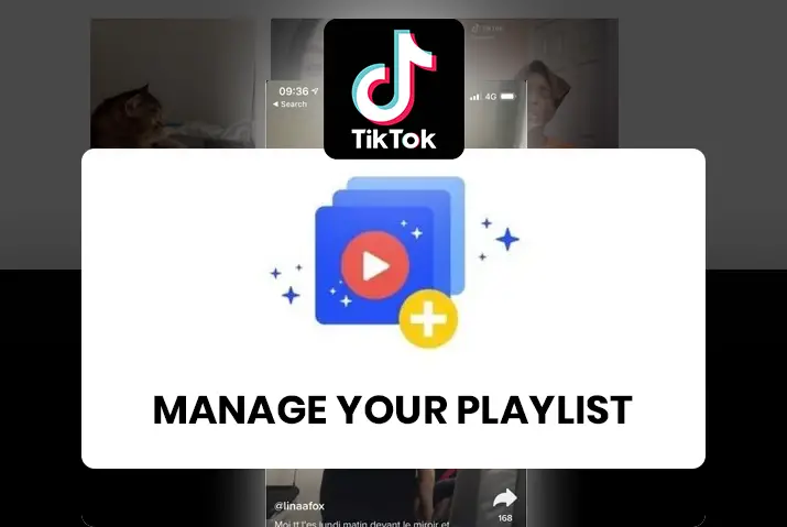 How to manage your playlist in tiktok