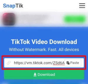 Step 2 Paste The Video Link On The Tool