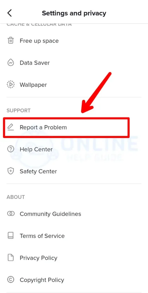 Step 5 Scroll Down And Click Report A Problem