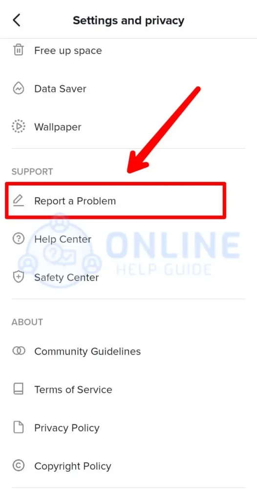 Step 5 Scroll Down To Report A Problem And Click It