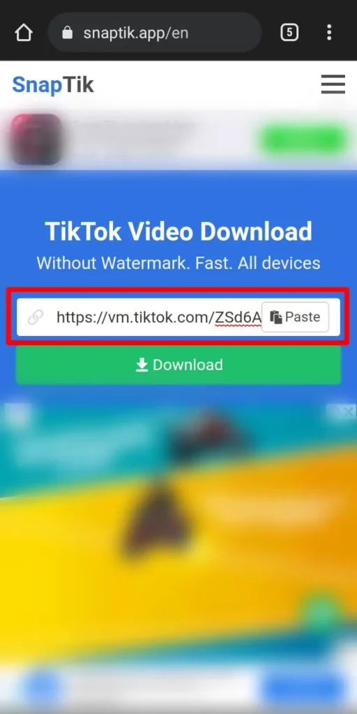 Step 7 Paste The Link On SnapTik | Does TikTok Notify When You Save A Video