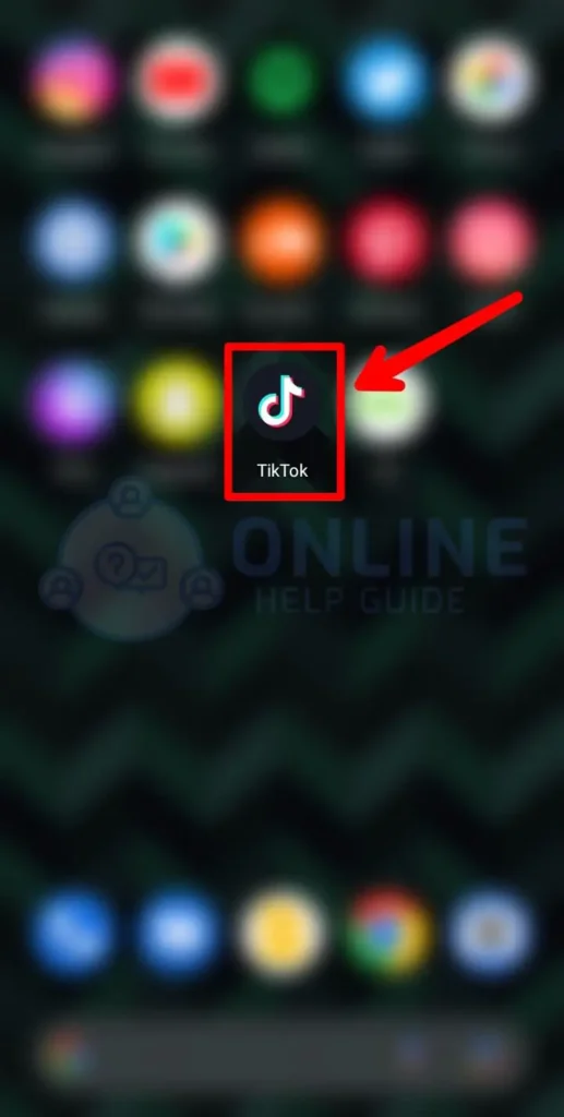 Step 1 Open The TikTok App