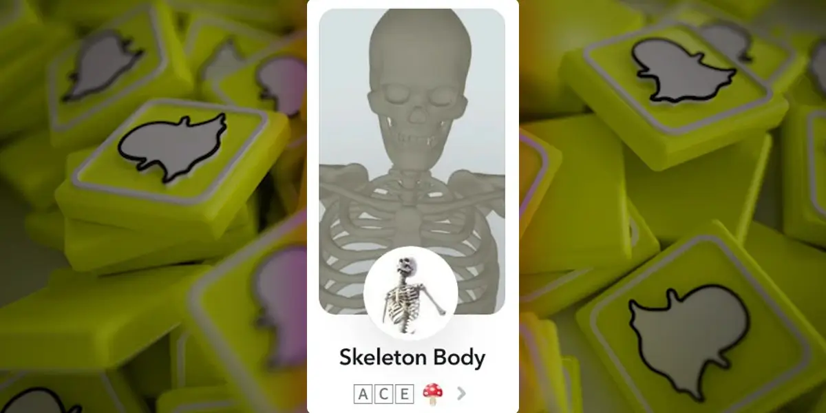 Skeleton Body