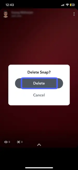 Confirm Delete | Delete Snapchat Story