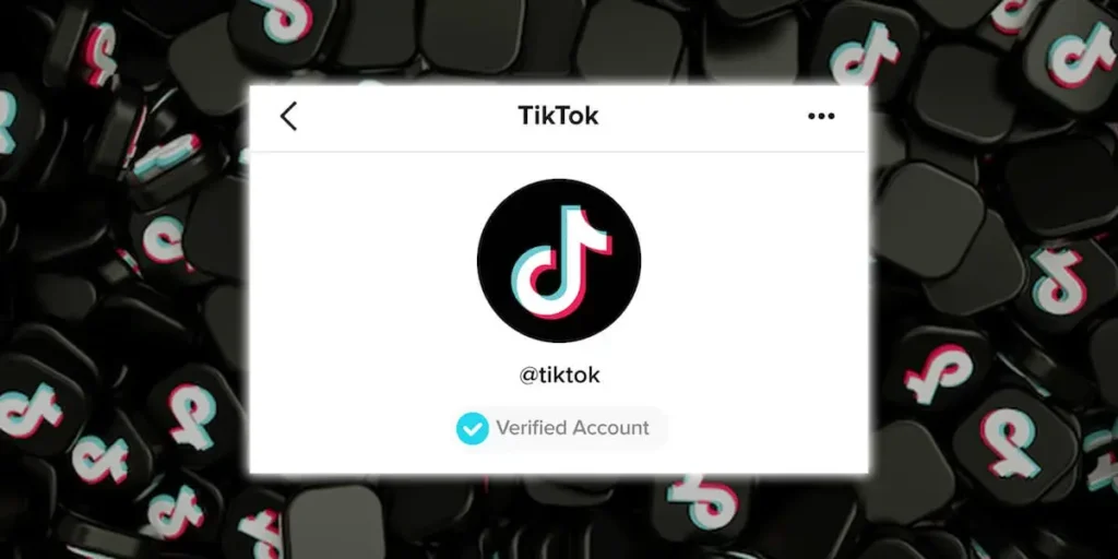 How To Verify Business Account On TikTok