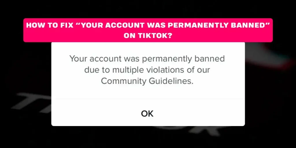 How To Fix “Your Account Was Permanently Banned” On TikTok