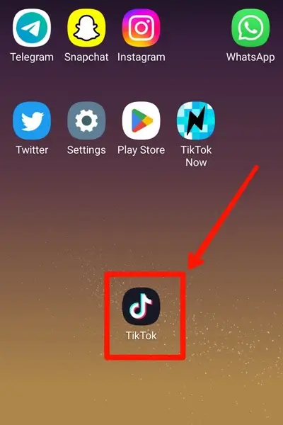 Step 1 Open Tiktok