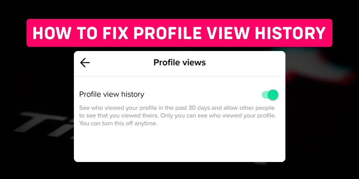 How to fix profile view history not showing On TikTok?