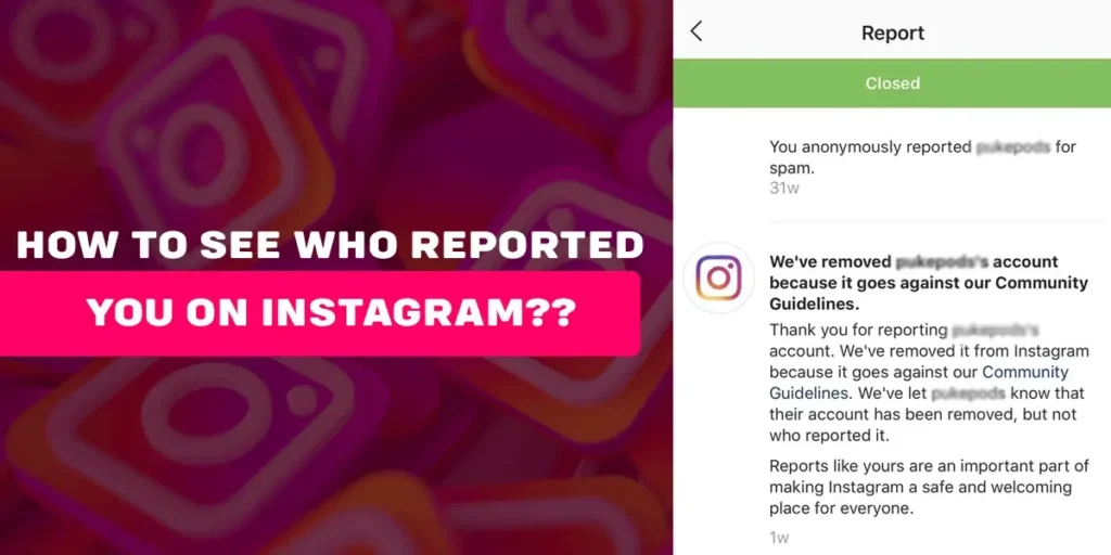 How to see who reported you on Instagram?