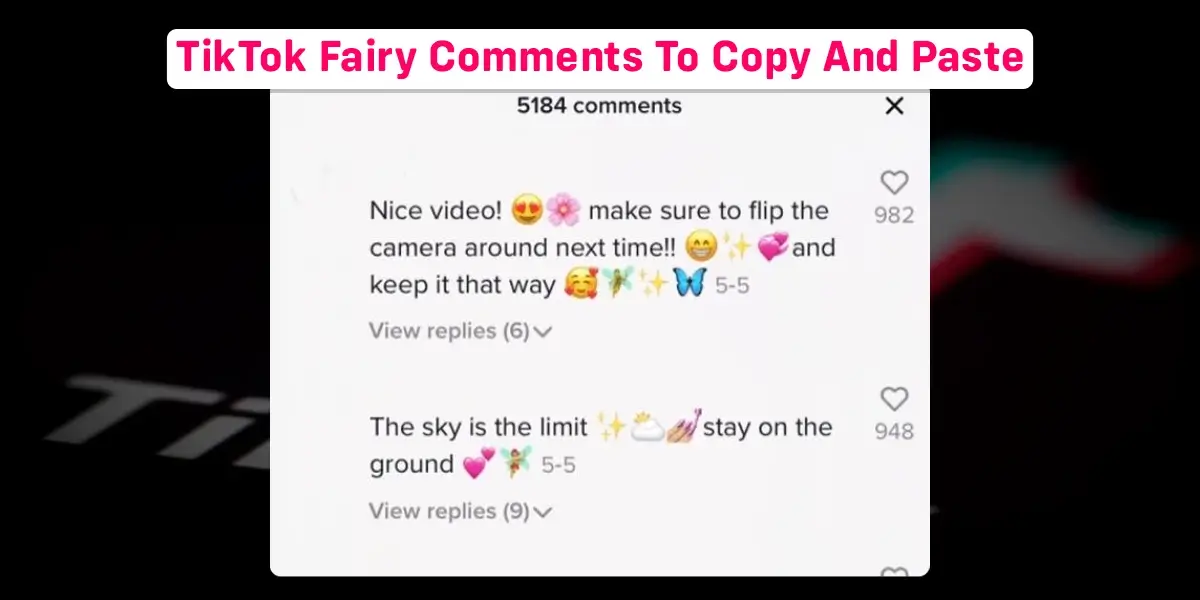 TikTok Fairy Comments To Copy And Paste