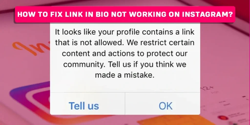 How to Fix Link in Bio Not Working on Instagram