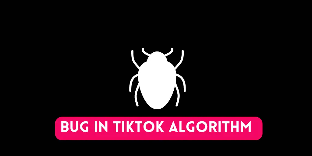 Bug In TikTok Algorithm