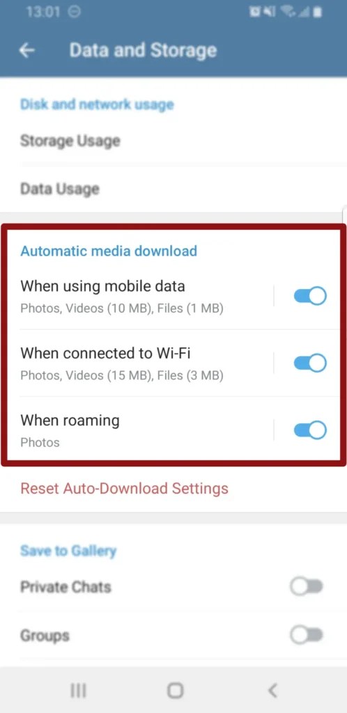 Step 5: Enable Automatic Media Download | Save Videos From Telegram to gallery