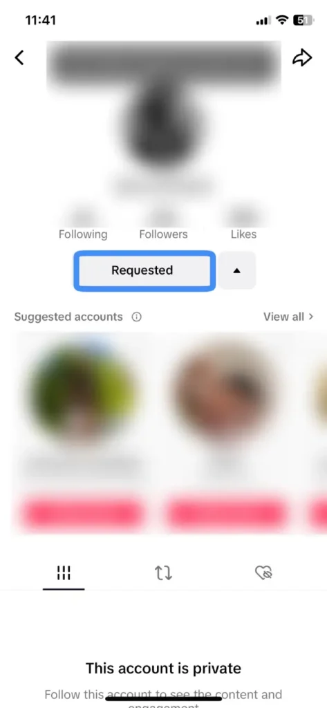 Tiktok Follow Button Changed Into Requested