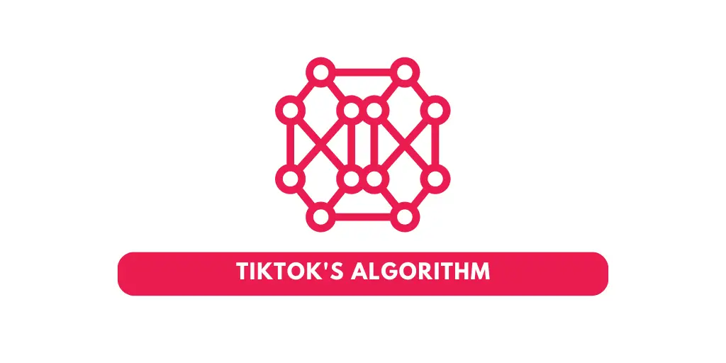 TikTok's Algorithm