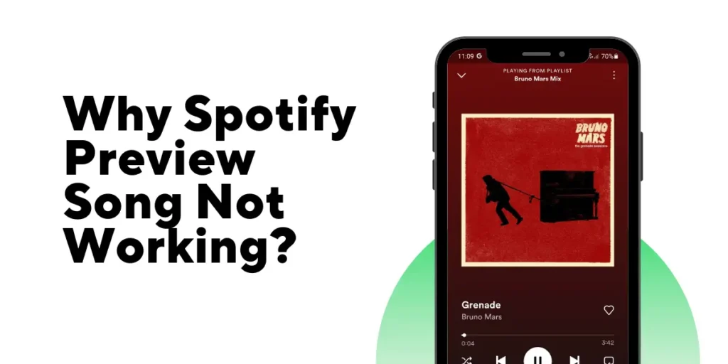 Why Spotify Preview Song Not Working