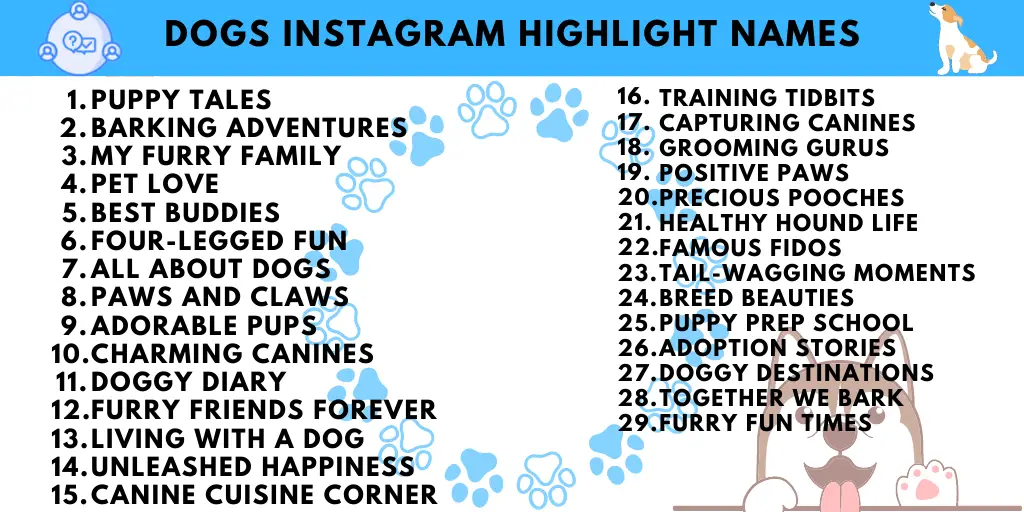 Dogs Instagram Highlights Names