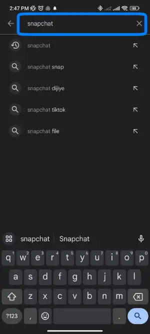 Type “Snapchat” on the search bar.